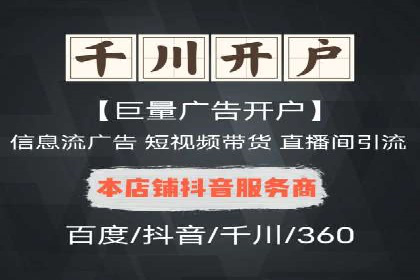 SEM代理服务：提升广告投放效果
